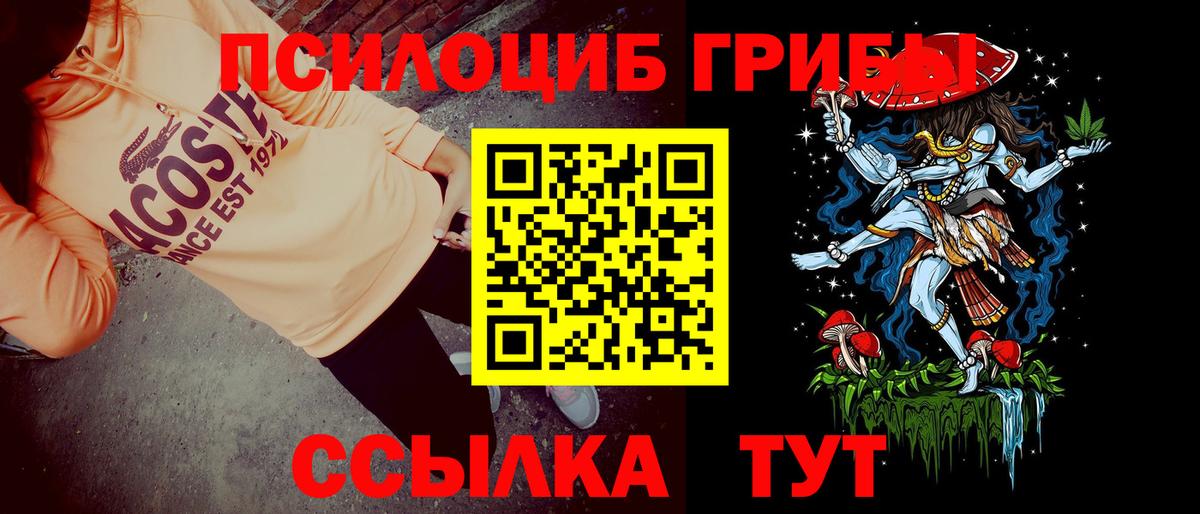 Псилоцибиновые грибы мухоморы Губкин